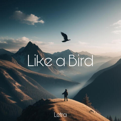Like a Bird