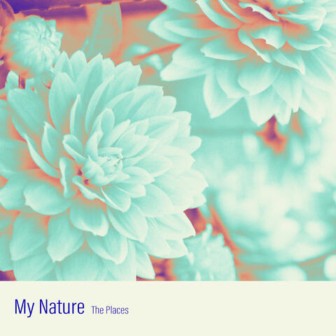 My Nature