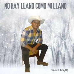 Adiós Amor Traicionero