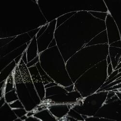 Shattered Echos