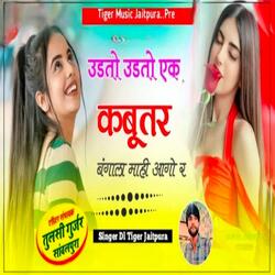 Udato udato ek Kabutar bangla mahi aago r