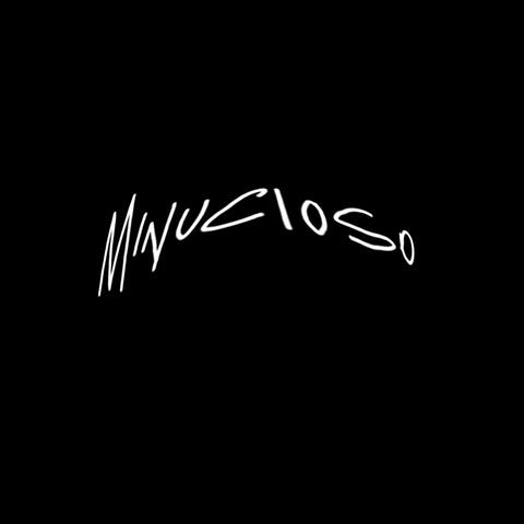 Minucioso