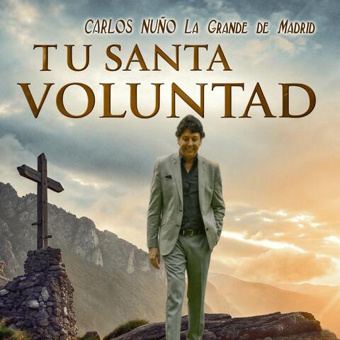 Tu Santa Voluntad