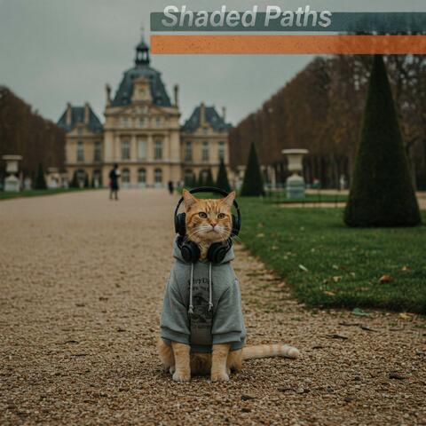 Shaded Paths