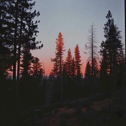 the distance between