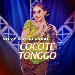 Cocote Tonggo