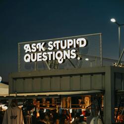 Stupid Stupidity Freestyle Movie Script