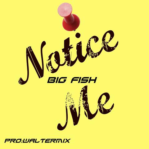 NOTICE ME