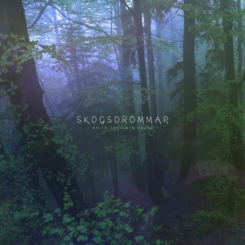 Skogsdrömmar