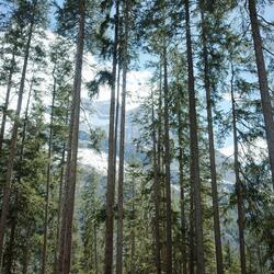 Hit Me Where It Hurt