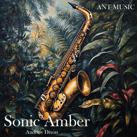 Sonic Amber
