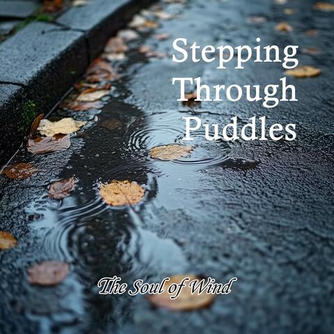 Stepping Through Puddles