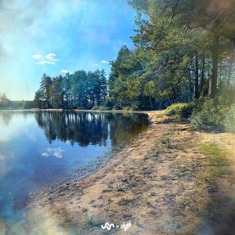 Hushed Lake