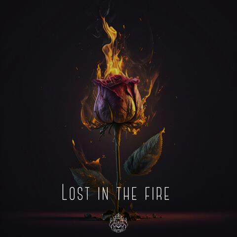 Lost in the Fire