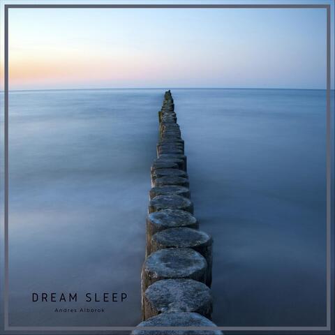 Dream Sleep