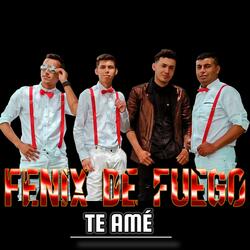 Te Amé