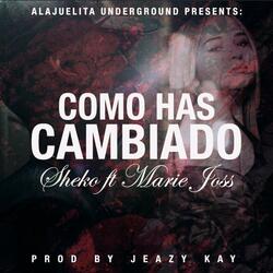 Como Has Cambiado