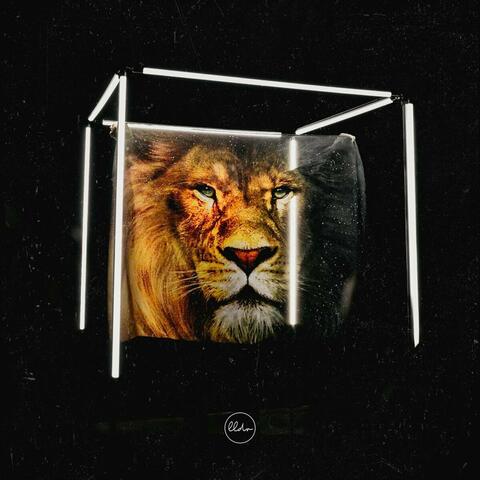 Te Estamos Esperando