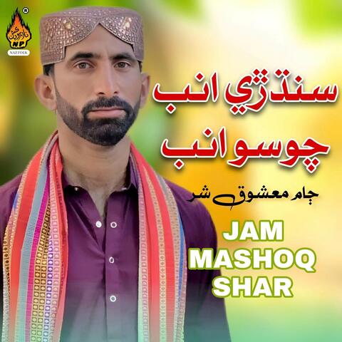Sindhri Amnb