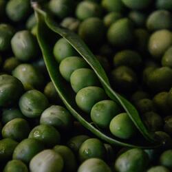 What’s the Fefe Fee