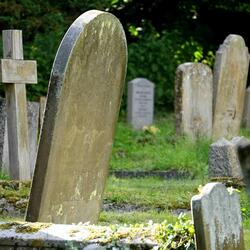 Cemetery Freestyle Movie Script
