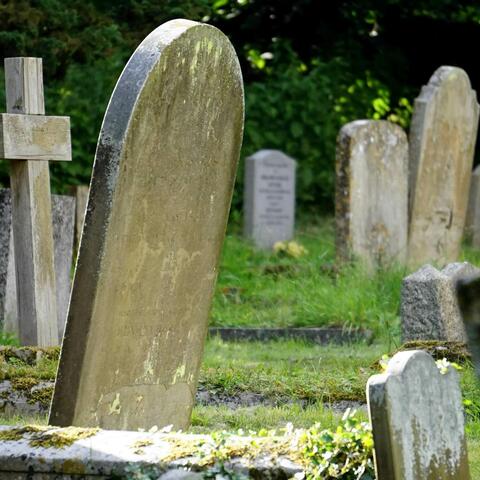 Cemetery Freestyle Movie Script