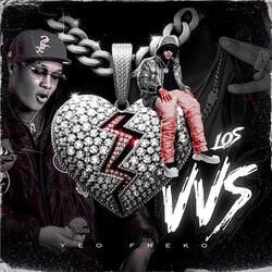 Los VVS