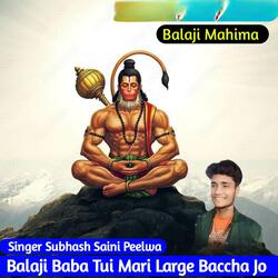 Balaji Baba Tui Mari Large Baccha Jo