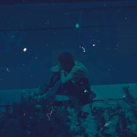SAD BUTTERFLY