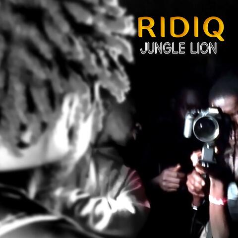 Jungle Lion