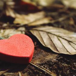 Circumcise My Heart