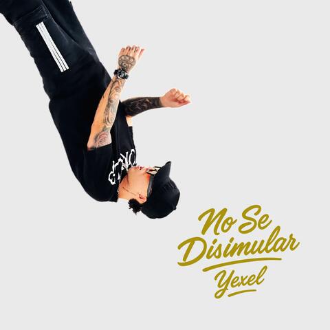 NO SE DISIMULAR