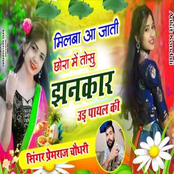 मिलवा आ जाती छोरा में तोसु झनकार उड़ पायल की