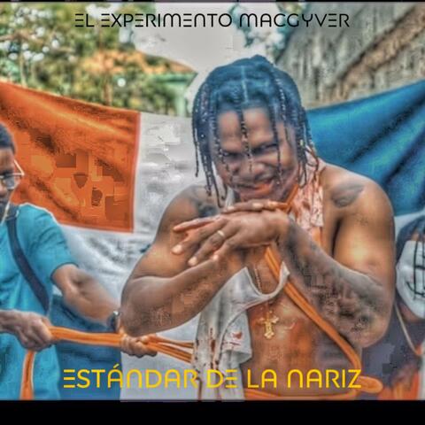Estándar De La Nariz
