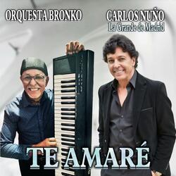 Te Amaré