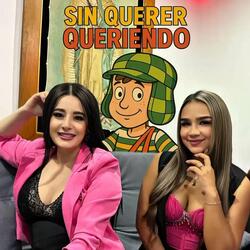 Sin Querer Queriendo