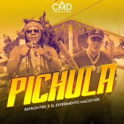 Pichula