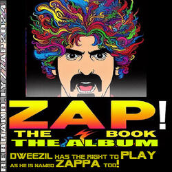 ZAP! Dweezil has the right to play as he is named Zappa too !