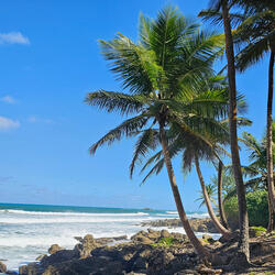 Gracias, Puerto Rico