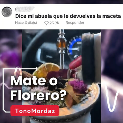 Mate o Florero?