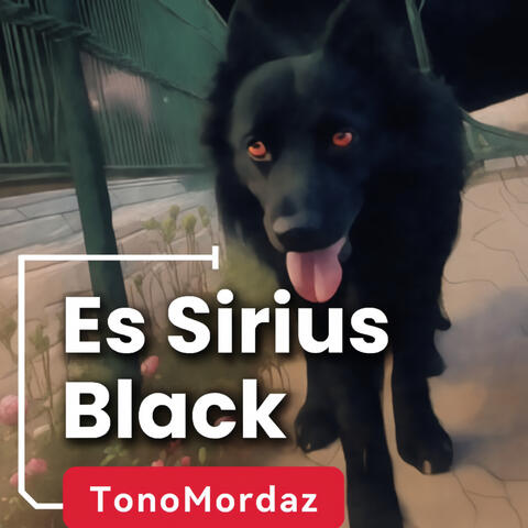 Es Sirius Black - Comentarios Cantados