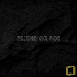 Friend or Foe
