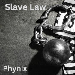 Slave Law