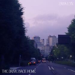 The Drive Back Home