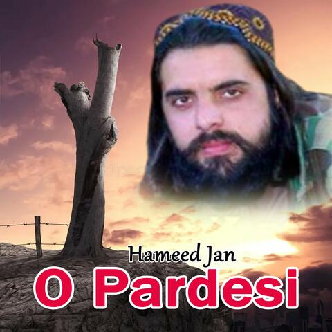 O Pardesi