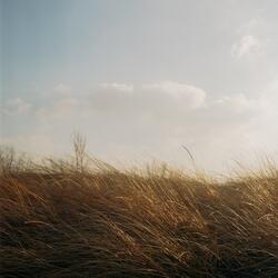 New Wind