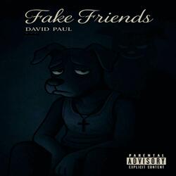 Fake Friends
