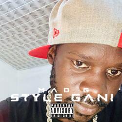 Style Gani