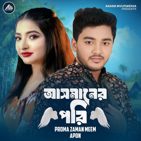 Asmaner Pori