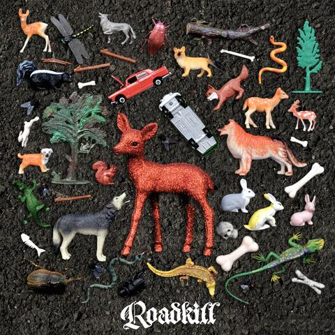 Roadkill